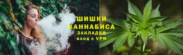 прущие крисы Алзамай