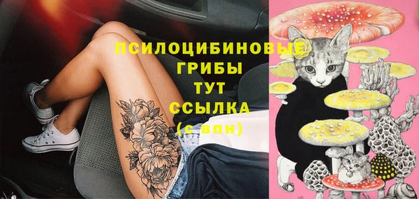 прущие крисы Алзамай