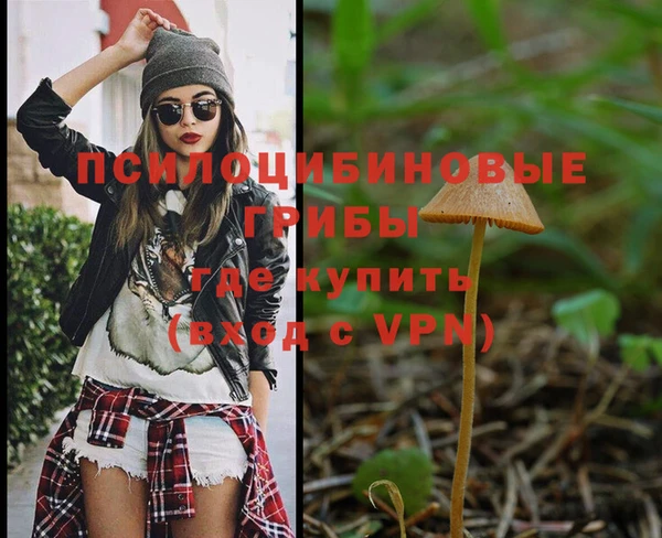 прущие крисы Алзамай